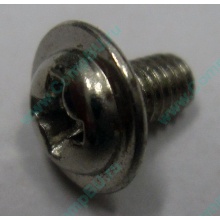 Компьютерный винт "малый" PW-M3x6mm (Вологда)