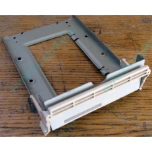 Заглушка для корзины SCSI дисков 55.59903.011 для серверов HP Compaq (Вологда)