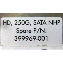 HP 250G 7.2k 432337-001/ 399699-001 / 397377-004 SATA HDD (Вологда)