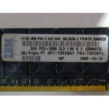 IBM 73P2871 73P2867 2Gb (2048Mb) DDR2 ECC Reg memory (Вологда)