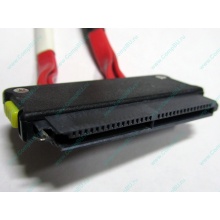 SATA-кабель для корзины HDD HP 451782-001 459190-001 для HP ML310 G5 (Вологда)