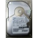 Жесткий диск 18.2Gb IBM Ultrastar DDYS-T18350 Ultra3 SCSI (Вологда)