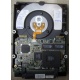 Жесткий диск 18.2Gb IBM Ultrastar DDYS-T18350 Ultra3 SCSI (Вологда)