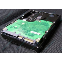 Жесткий диск 600Gb 15k Dell 9FN066-008 6G SAS ( Seagate Cheetach ST3600057SS 15K.7) - Вологда