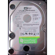 Б/У жёсткий диск 500Gb Western Digital WD5000AVVS (WD AV-GP 500 GB) 5400 rpm SATA (Вологда)