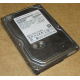 HDD 500Gb Hitachi HDS721050DLE630 донор на запчасти (Вологда)