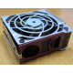 HP 224977 (224978-001) for Proliant ML370 G2/G3/G4 (Вологда).