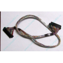 6017B0045301 в Вологде, 68pin SCSI кабель 26.5" / 57cm для корзины HDD Intel SR2400 (Вологда)