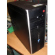 БУ компьютер HP Compaq Elite 8300 (Intel Core i3-3220 (2x3.3GHz HT) /4Gb /250Gb /ATX 320W) - Вологда
