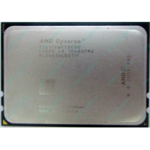 AMD Opteron 6128 OS6128WKT8EGO (Вологда)