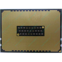 AMD Opteron 6128 OS6128WKT8EGO (Вологда)
