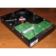 Жесткий диск 500Gb HP 634605-003 613208-001 WD WD5000AAKX 7.2k SATA (Вологда)
