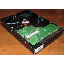 Жесткий диск 500Gb WD WD5000AAKX HP 634605-003 613208-001 7.2k SATA (Вологда)